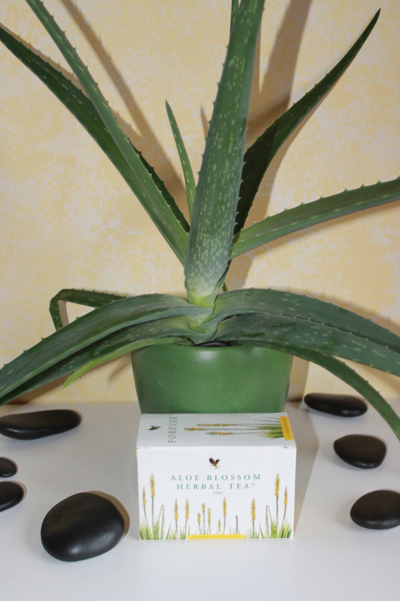 Aloe Vera Produkte von Forever Living